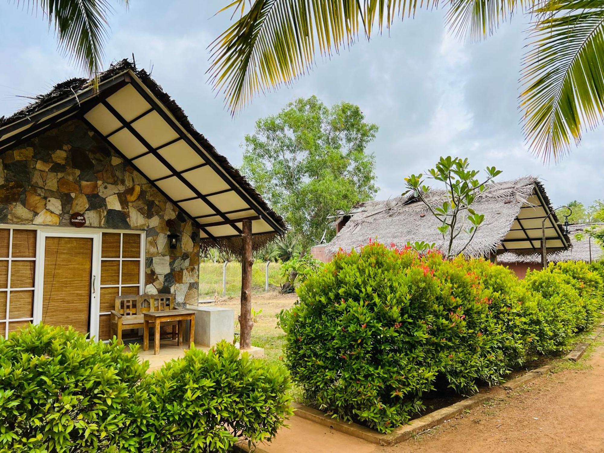 Coco Village Hotel Chilaw Exteriér fotografie